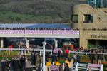130326-Race 5-Gaelic Warrior-3009
