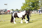 SBM_04106
