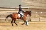 SBM_000259