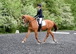 Lyford Stud - Dressage 03-05-25 portfolio
