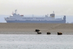 SEALS