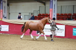 SBM_00537
