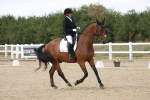 SBM_014781