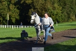 486-PROSPECT.LAD-Francesa.Aitchison-TrotUp+SJ portfolio