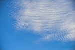 ACP_4740-1