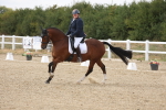 SBM_015565