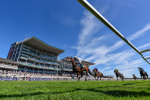 120725-Race 4-Al Qareem-7107