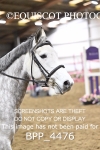 BPP_4476
