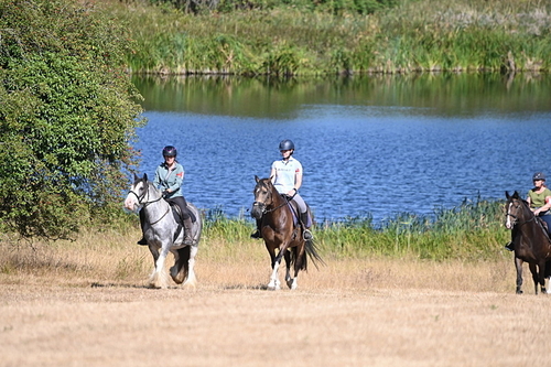 WJ6_7756