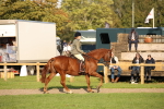 SBM_54313