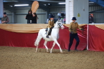 SBM_07660