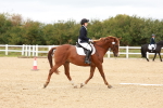 SBM_001358