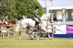 SBM_16087
