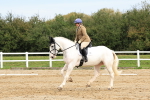 SBM_001415