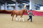 SBM_00543