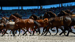 _DSC5057