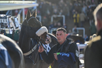 251025-Race 3-Minella Blueway-8404
