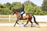 SBM_006732