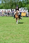 SBM_07953