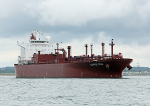120714 CLIPPER STAR WT7A5445