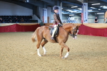 SBM_07771