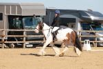 SBM_010440
