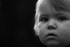 Svea