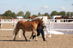 SBM_12976