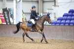 SBM_003637