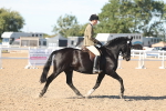 SBM_12331