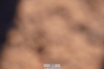 240505A-182920-07593