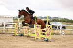 SBM_026008