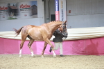 SBM_06633