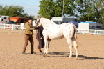 SBM_16986
