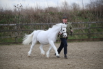 SBM_003914