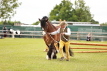 SBM_06045