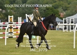 JAC_3779