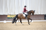 SBM_002164