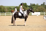 SBM_008614