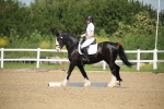 SBM_008004