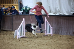 SBM_006453