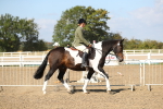SBM_03123