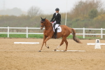 SBM_002093