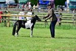 SBM_03543