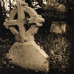 Gravestone with Ivy