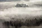 Peak Mist