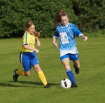 DSC01019