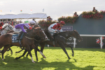 230923-Race 5-Vintage Clarets-5398