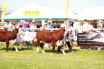 SBM_08371