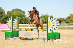 SBM_006497